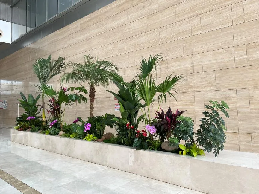 找宁波北仑植物租赁服务？这家好到超乎想象！